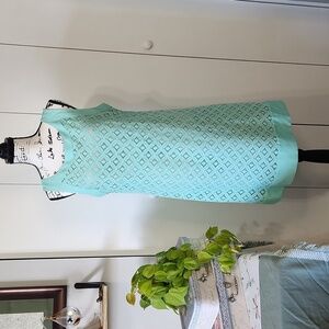 Elizabeth J Sleeveless Lace Shift Dress Sz 14